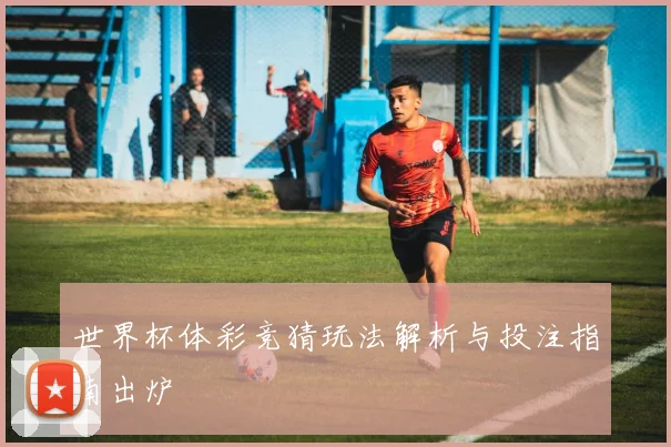 世界杯体彩竞猜玩法解析与投注指南出炉