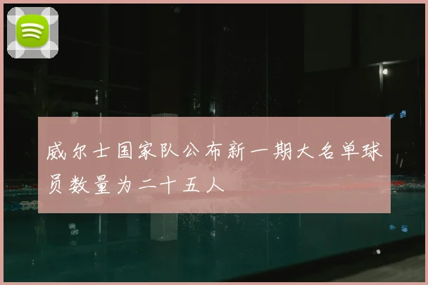 威尔士国家队公布新一期大名单球员数量为二十五人