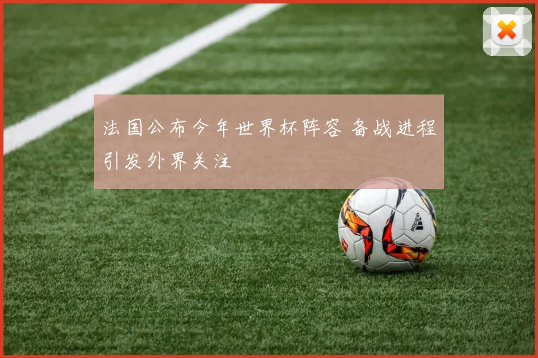 法国公布今年世界杯阵容 备战进程引发外界关注
