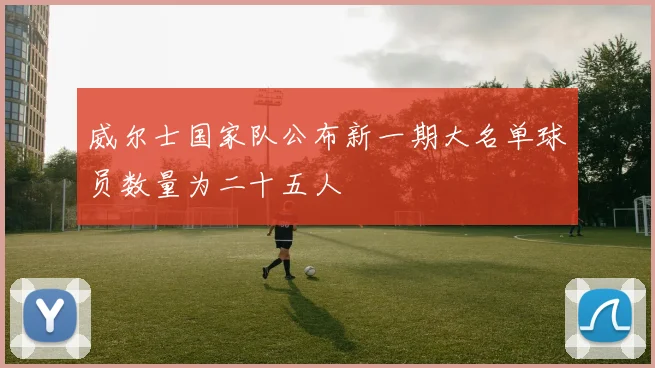 威尔士国家队公布新一期大名单球员数量为二十五人