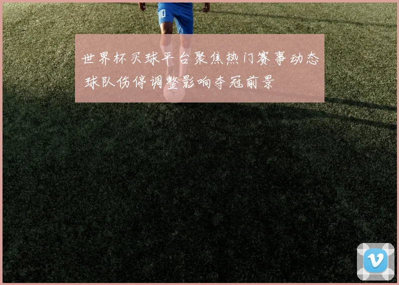 世界杯买球平台聚焦热门赛事动态 球队伤停调整影响夺冠前景