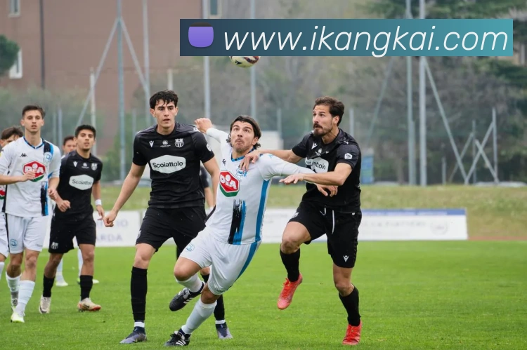 宝赢体育官网首页APP 体育赛事宣传图